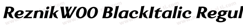 ReznikW00 BlackItalic Regular字体转换